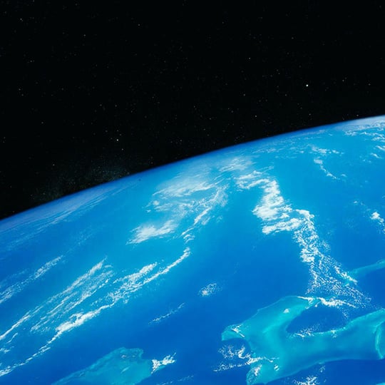 A win for the ocean: High Seas Treaty, ratified!