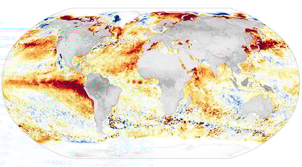 Did You Know: What is a marine heatwave?
