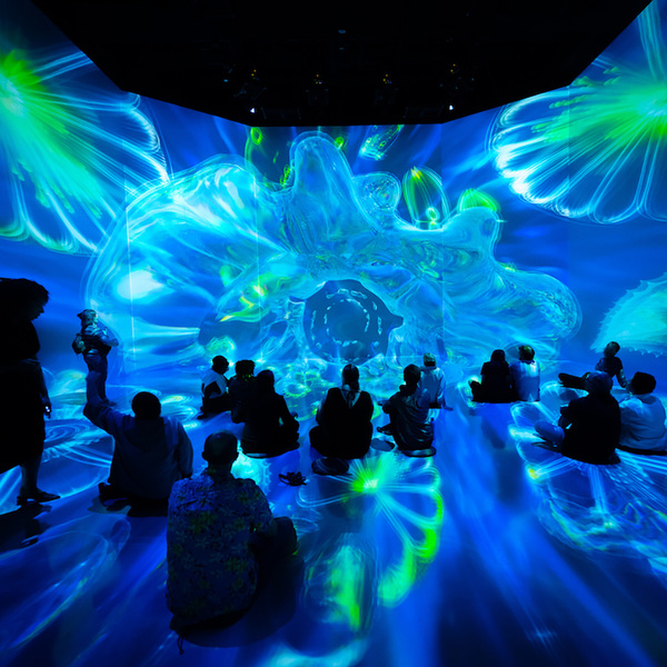 A picture showing patrons sitting in front of a projection showing luminous marine phytoplankton
