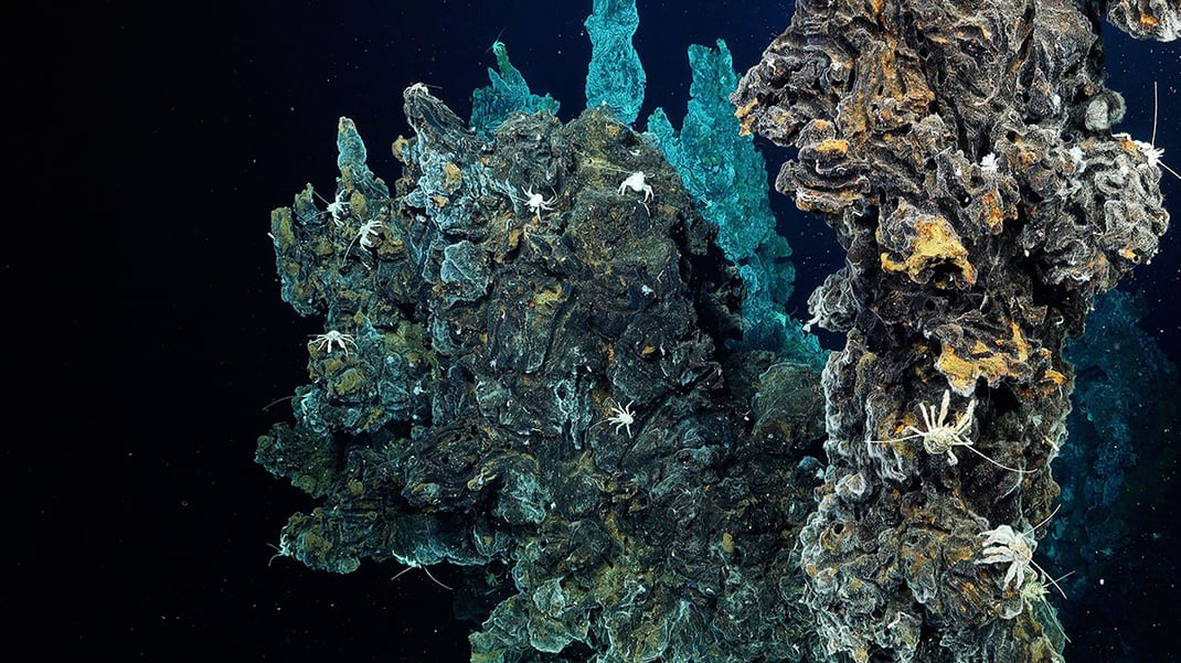 A mound of hydrothermal vents is spotlighted in deep water along an underwater mountain range called the East Pacific Rise.