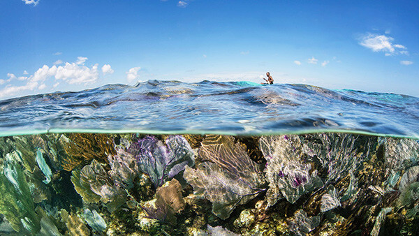 underwater-paddleboard