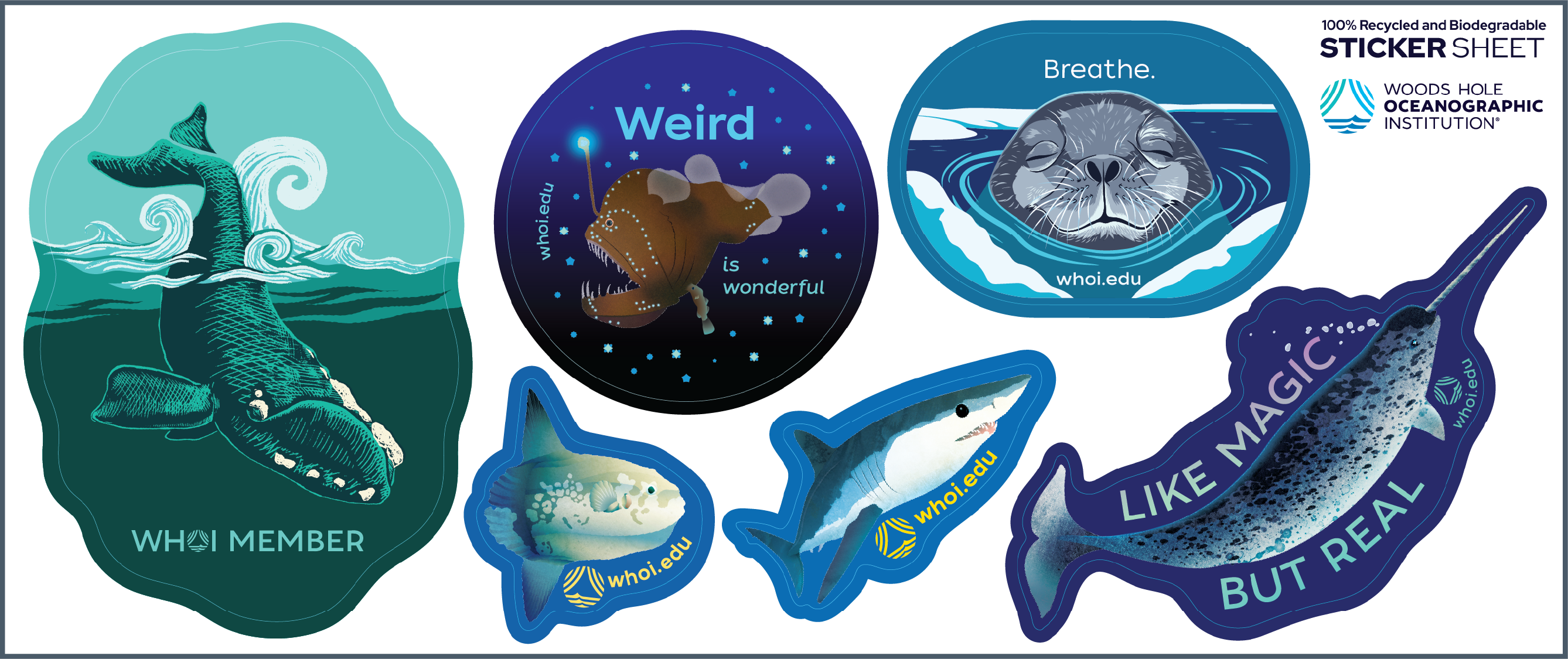 Sticker sheet with underwater creatures